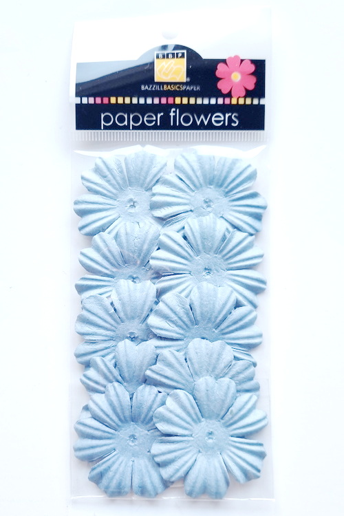 Flowers - 1.5" Primula - Slate Blue